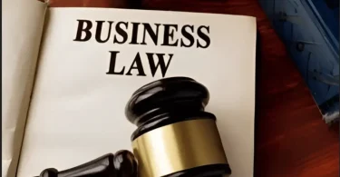 business law basics for beginners