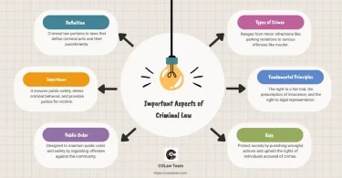 criminal charges explained simply
