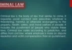 criminal law basics for beginners